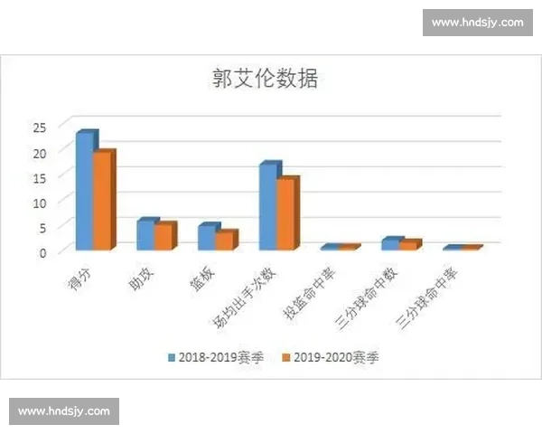 中国篮球市场发展趋势与商业潜力深度分析报告
